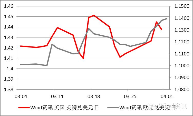 鹰鸽的分类图解,中国鹰鸽图文