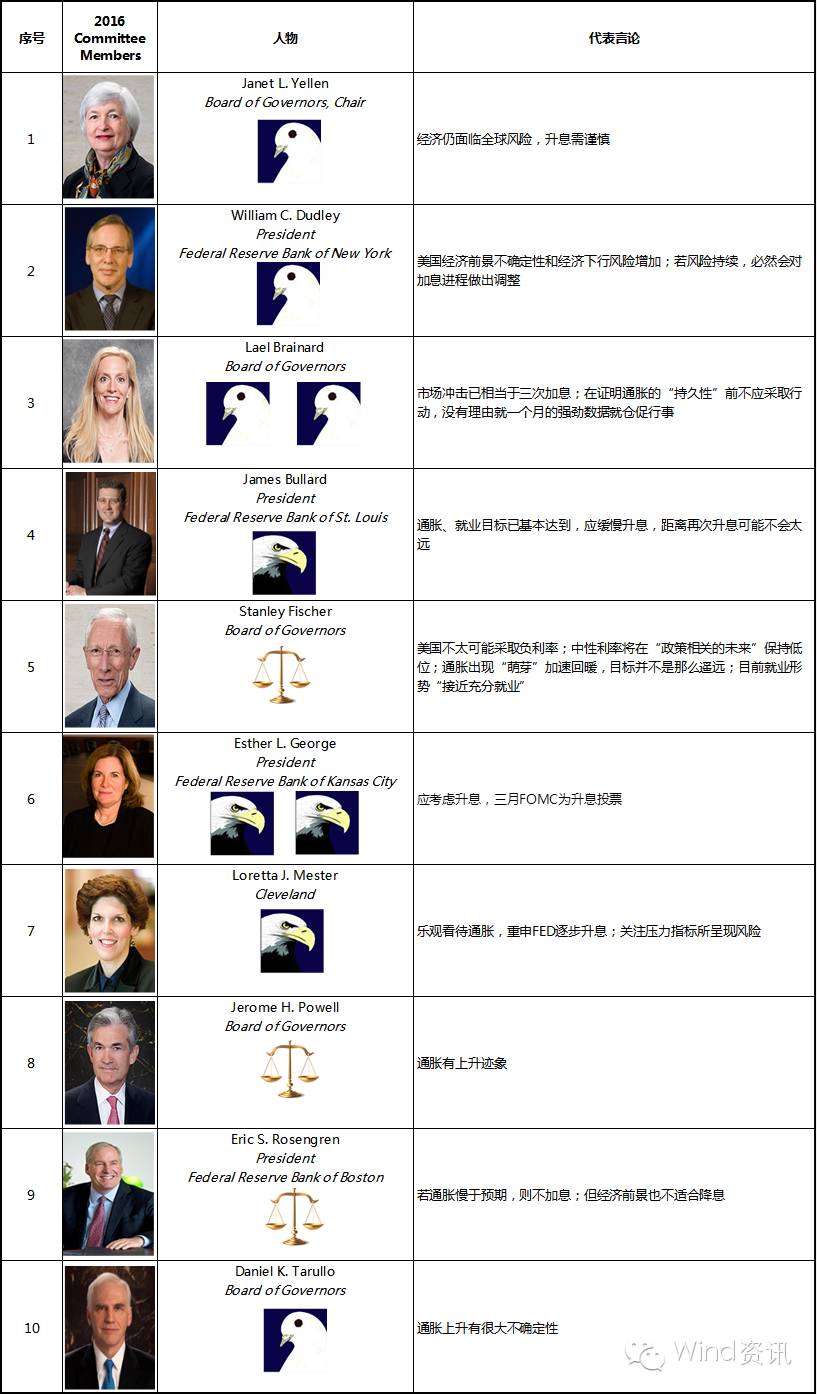 鹰鸽的分类图解,中国鹰鸽图文