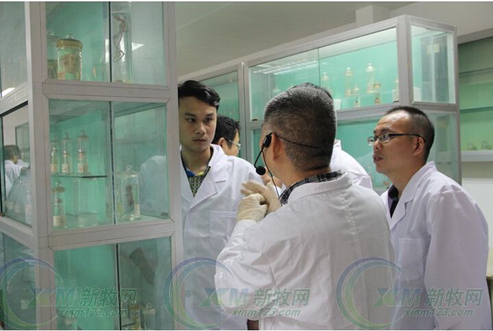 猪场驱虫有妙招--正典驱虫培训班吸引众多规模猪场参与