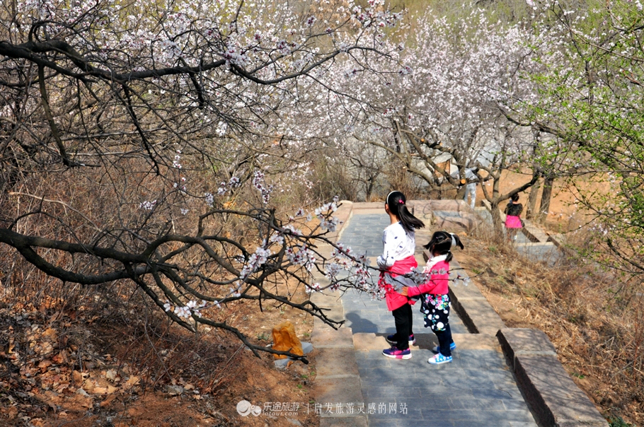 金山岭长城东段古长城,金山岭长城照片大全