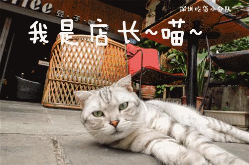 第3家店,但新来的两个男店长都不是人...