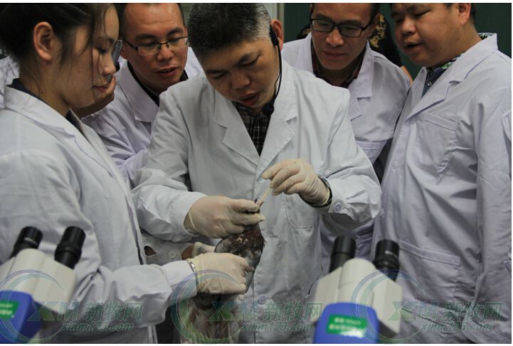 猪场驱虫有妙招--正典驱虫培训班吸引众多规模猪场参与