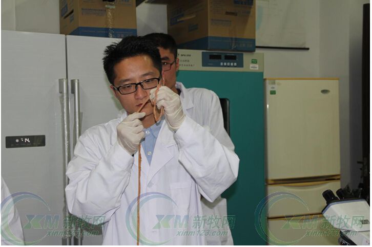 猪场驱虫有妙招--正典驱虫培训班吸引众多规模猪场参与