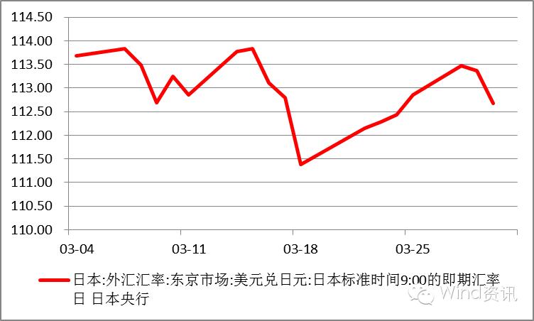 鹰鸽的分类图解,中国鹰鸽图文