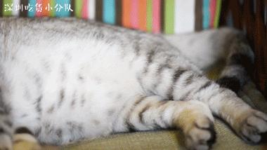 第3家店,但新来的两个男店长都不是人...