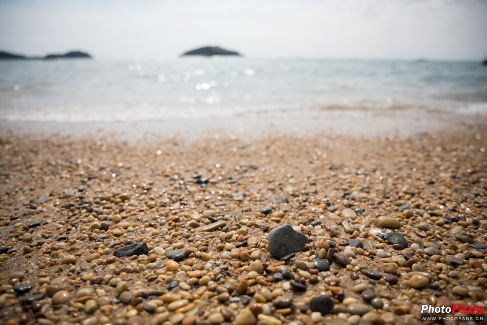 带上马儿去旅游,带着马去旅游的车