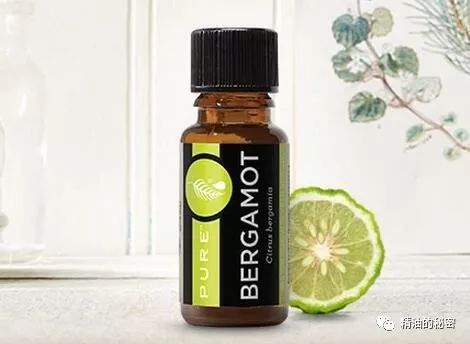 明星同款身体精油推荐,明星同款护发精油推荐