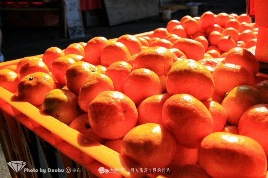 瀵诲疂璧拌繘鍝簺鍩庡競,瀵诲疂澶栧浗娴峰矝