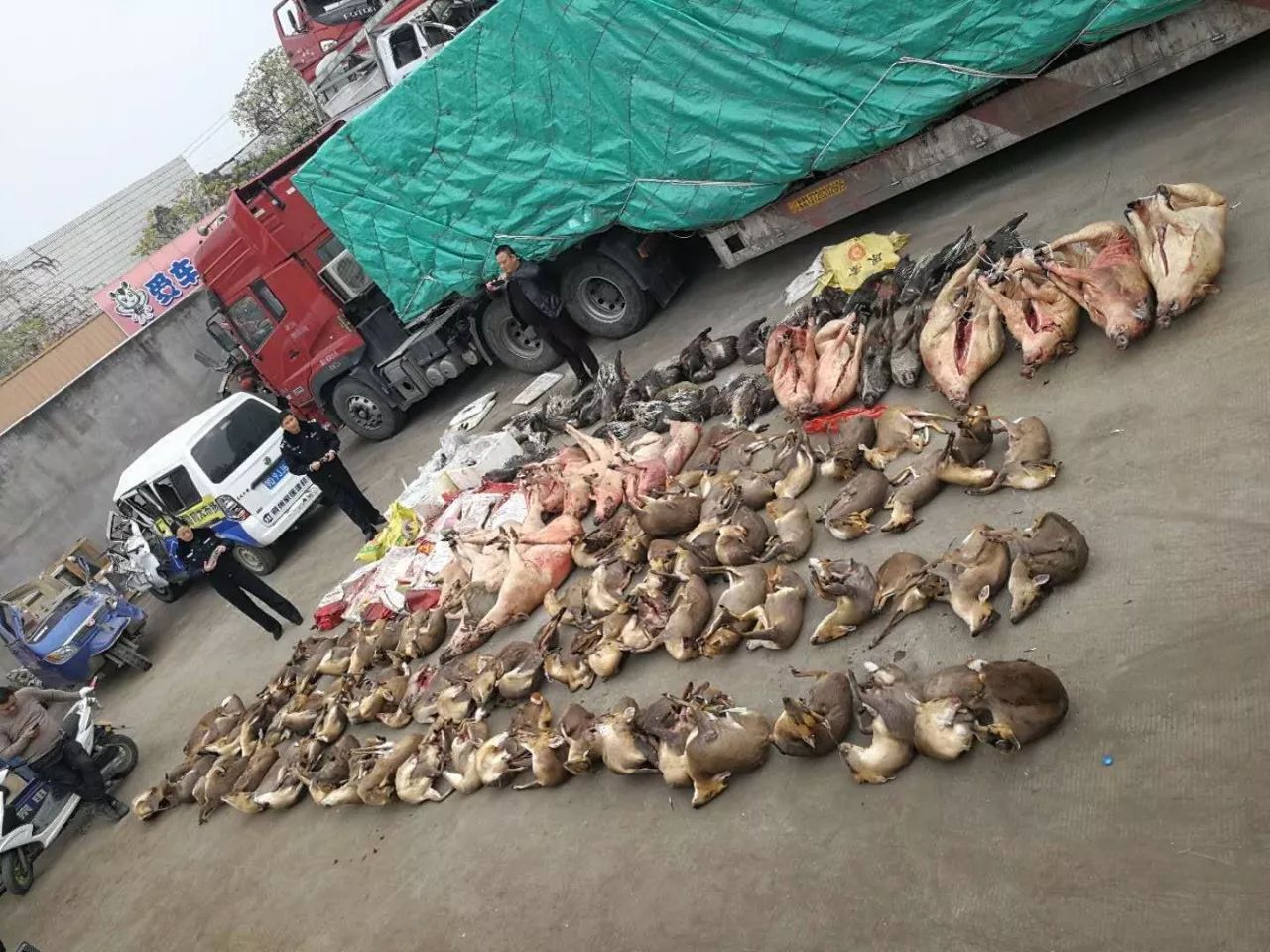 4岁男童看到电视就吓哭,“恐屏”症背后竟是这个原因,家长反思:我是不是做错了?|武汉早班车