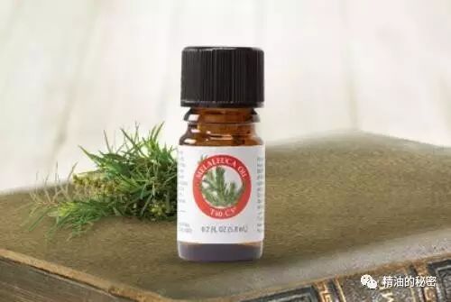 明星同款身体精油推荐,明星同款护发精油推荐