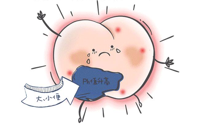 what原版视频来源,what是什么牌子