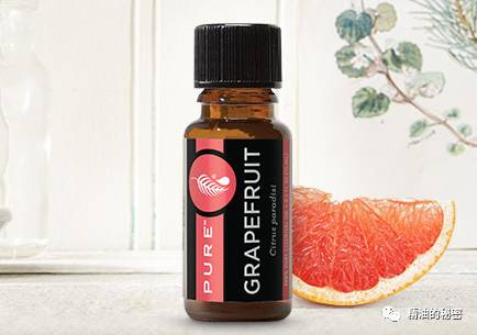 明星同款身体精油推荐,明星同款护发精油推荐