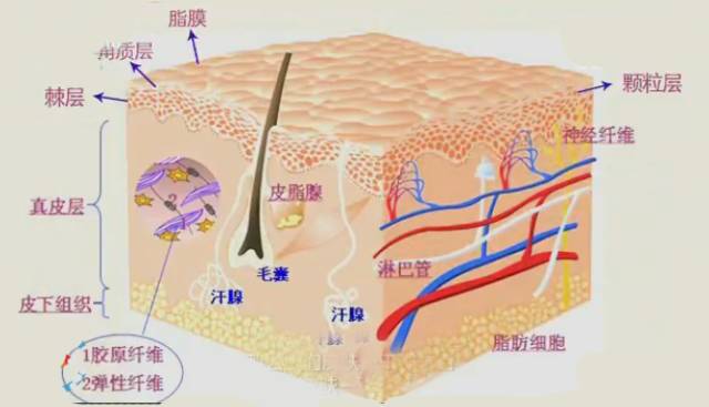 冬季皮肤干痒的应对小妙招,冬季皮肤干燥痒用哪种精油好
