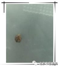 泌尿外科精彩案例,中医男科清道夫