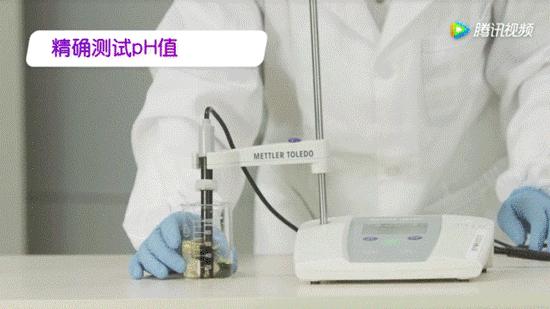 what原版视频来源,what是什么牌子