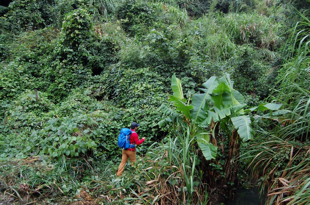 lowa登山鞋mk2测评,lowa登山鞋zephyr