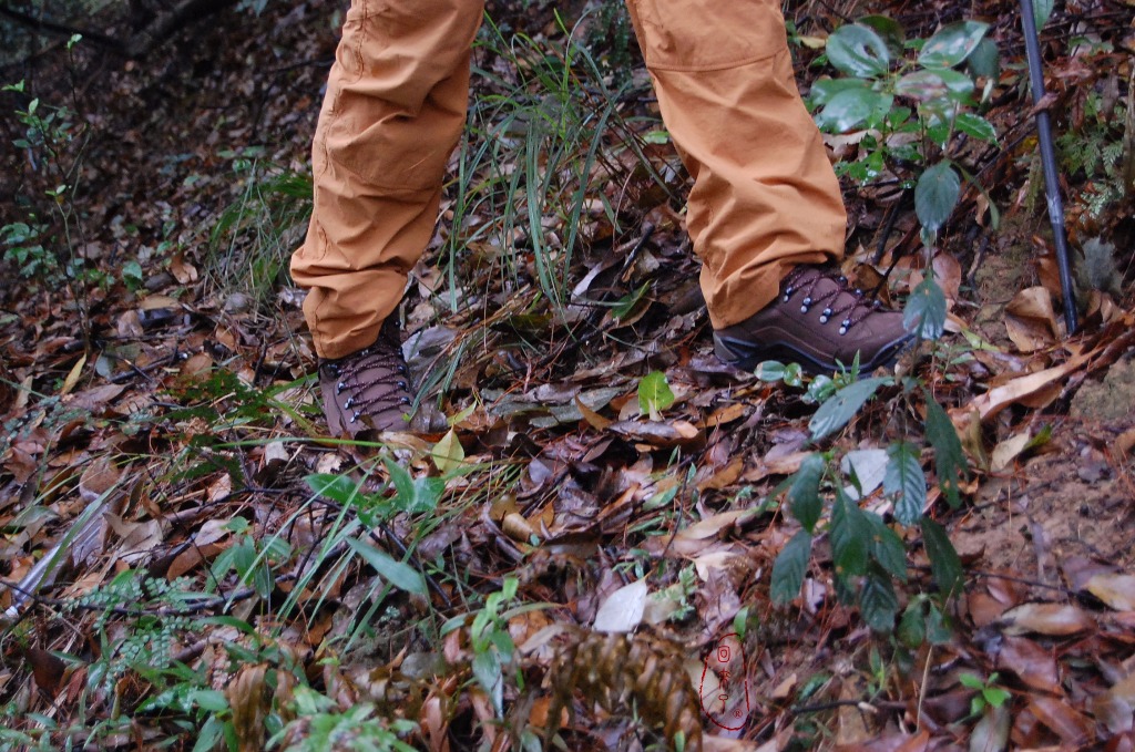 lowa登山鞋mk2测评,lowa登山鞋zephyr