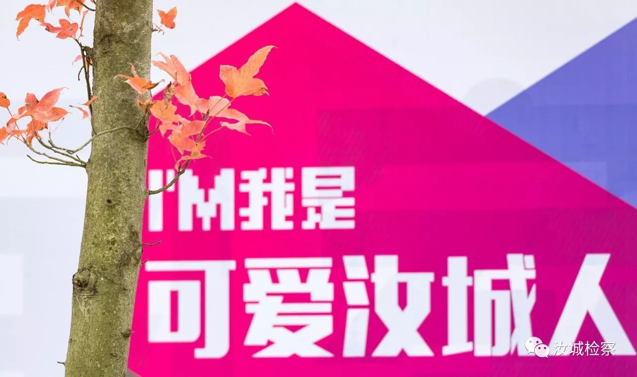 莫言蛙的第一部读后感,莫言蛙精彩段落读后感