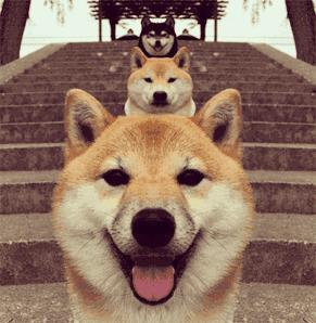 蒙阴蜜桃的口感质量,蒙阴蜜桃品鉴