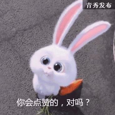 青秀校园｜云景路小学举办手风琴音乐会；凤翔路小学承办自治区级优秀课例展示评选；“黄贤群特级教师工作室团队”送教下乡镇中学