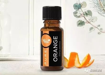 明星同款身体精油推荐,明星同款护发精油推荐