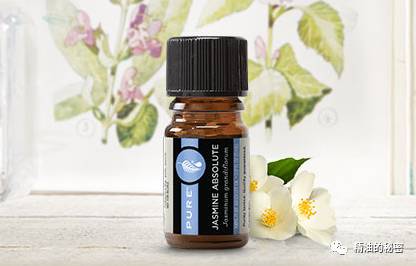 明星同款身体精油推荐,明星同款护发精油推荐