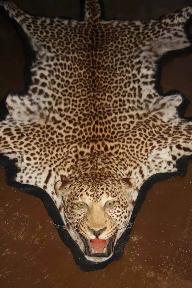 旅游纪念品别带回家,去哪里旅游能带回珍贵的纪念品