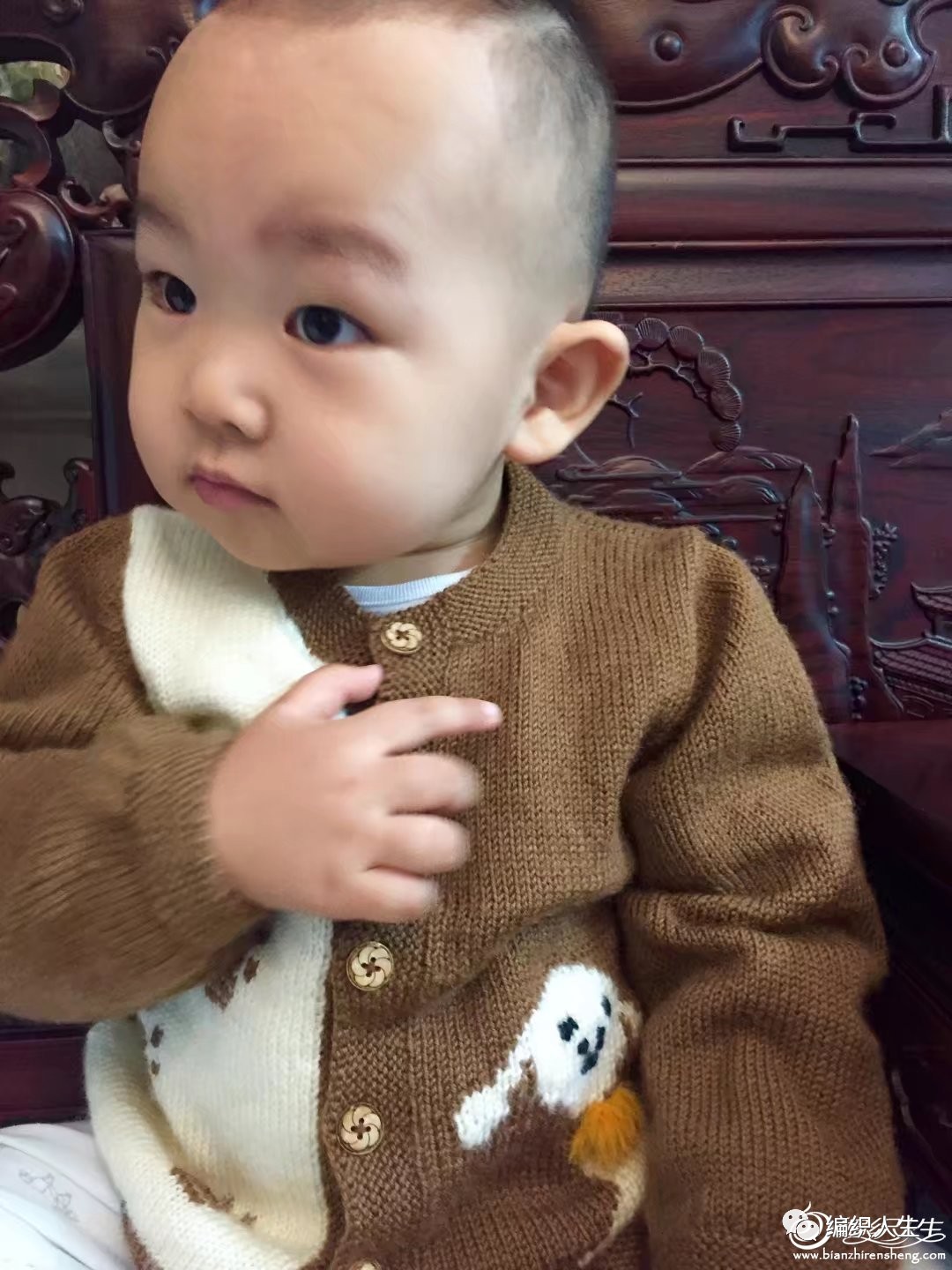 棒针开衫毛衣编织视频教程全集,宝宝毛衣小狗图案高清编织全教程