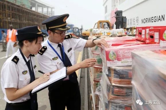 宝山邮轮滨江带免费,宝山邮轮未来发展趋势