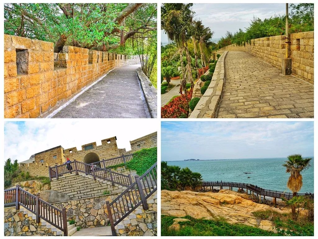 东山岛国际半程马拉松,东山岛马拉松完整版