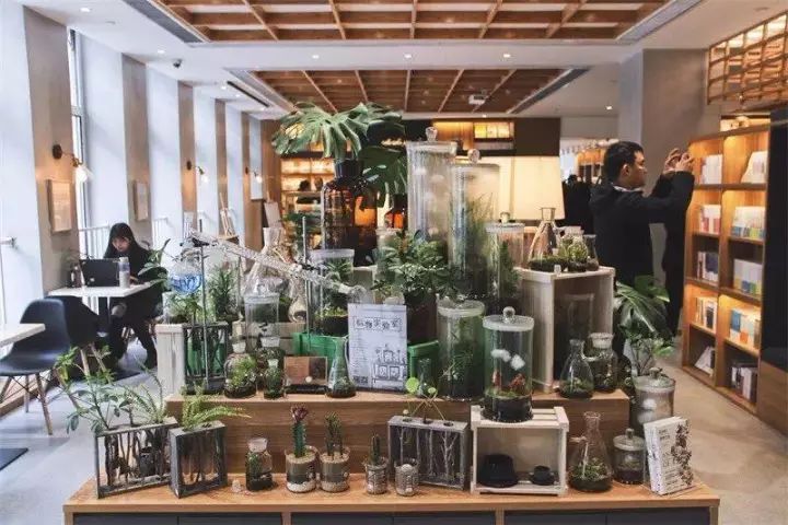 24小时、以旧换新……南京这8大特色书店,去了就不想离开