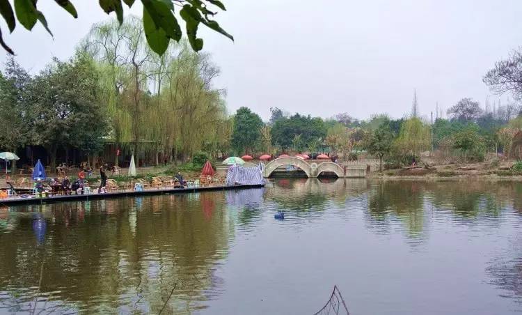 成都周边适合新手钓鱼的地方,成都2020十大免费钓鱼地方