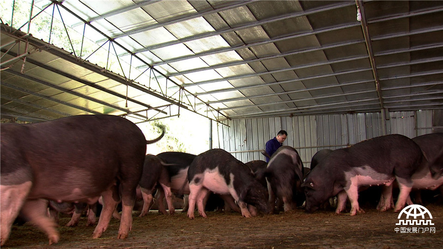 致富经:爱冲动小伙的财富逆袭