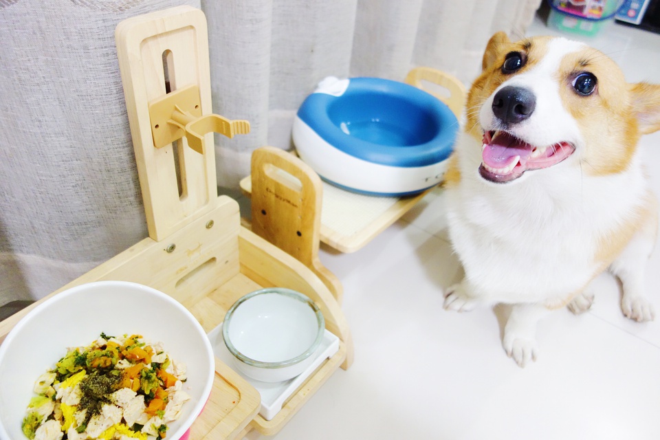 养小狗的日记,豆瓣日记养小狗清单