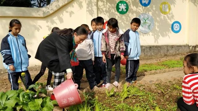 青秀校园｜云景路小学举办手风琴音乐会；凤翔路小学承办自治区级优秀课例展示评选；“黄贤群特级教师工作室团队”送教下乡镇中学