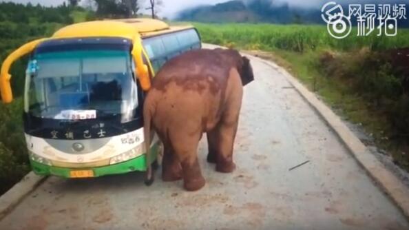 早安益阳,你好早安益阳