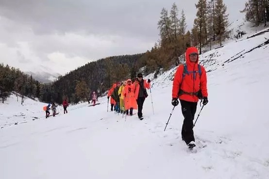 patagonia的几款棉服,patagonia棉服好吗