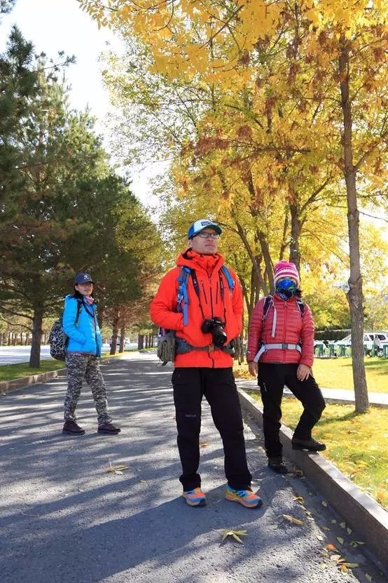 patagonia的几款棉服,patagonia棉服好吗