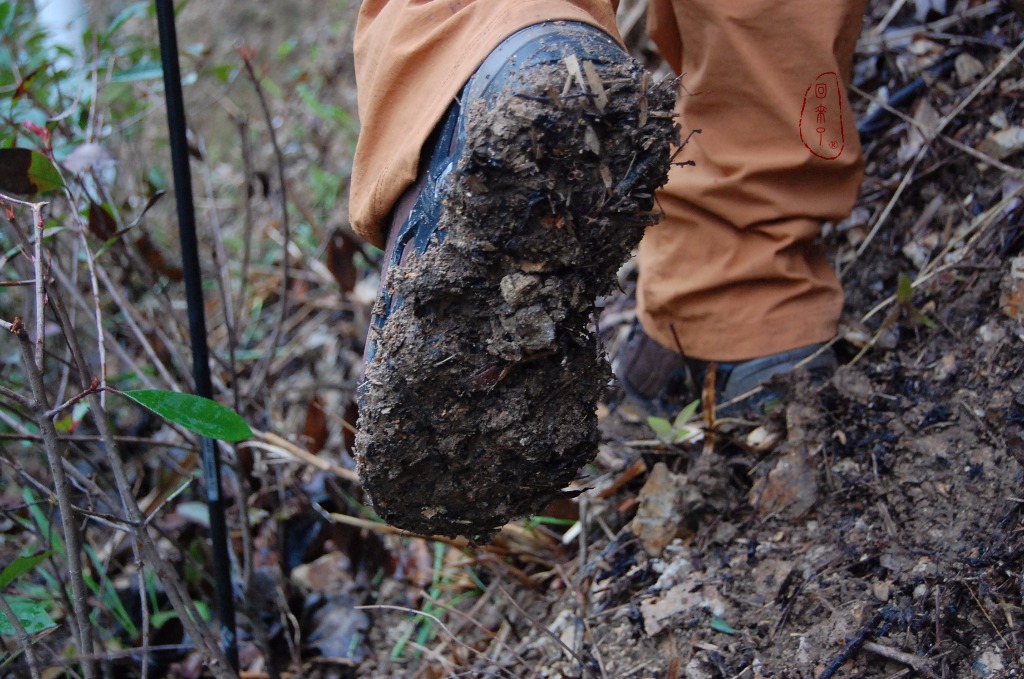 lowa登山鞋mk2测评,lowa登山鞋zephyr
