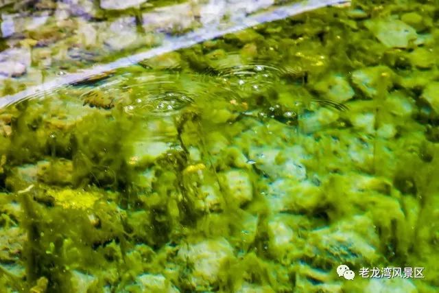 临朐风景好又凉快的地方,临朐有山有水避暑的地方