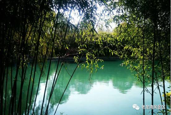 临朐风景好又凉快的地方,临朐有山有水避暑的地方