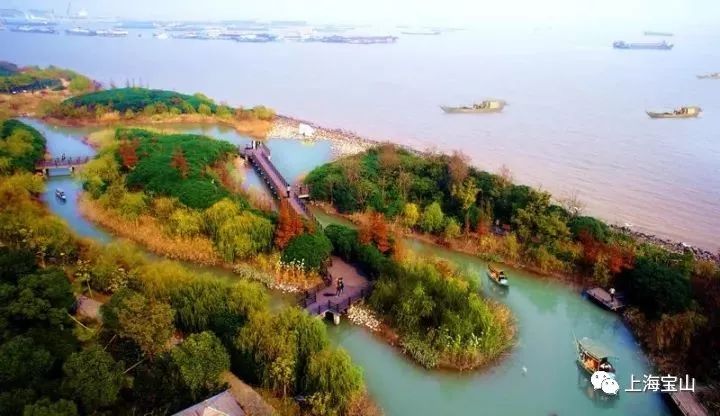 宝山邮轮滨江带免费,宝山邮轮未来发展趋势