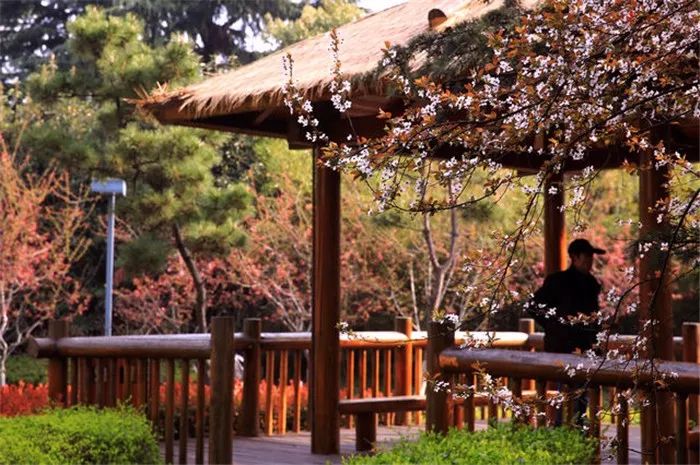 奋战100天向年度目标冲刺,奋战二十天坚决完成建设任务