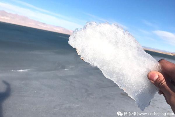 2023奥迪q家族极境之旅怎么参加,奥迪Q家族极境之旅