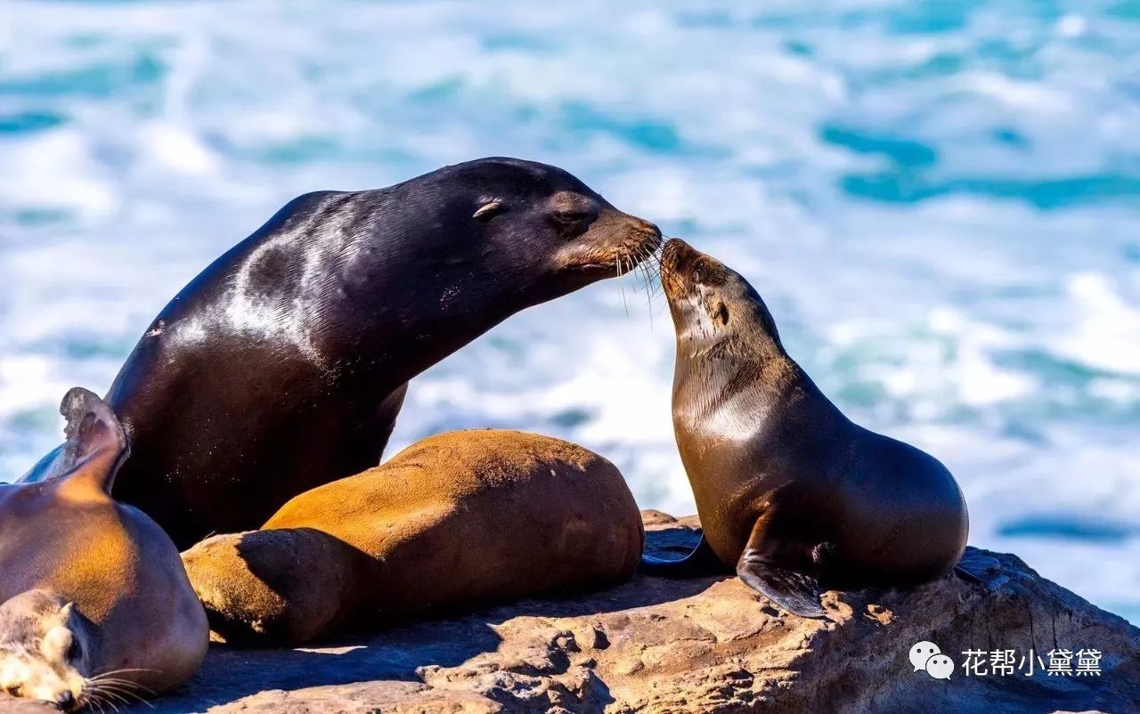 时髦旅拍神器｜玩转美国这个城市看这一篇就够了私房路线干货