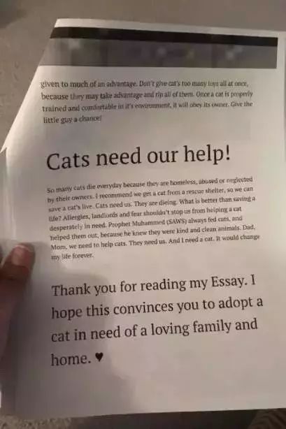 圣诞节心愿怎么写,圣诞节愿望清单素材