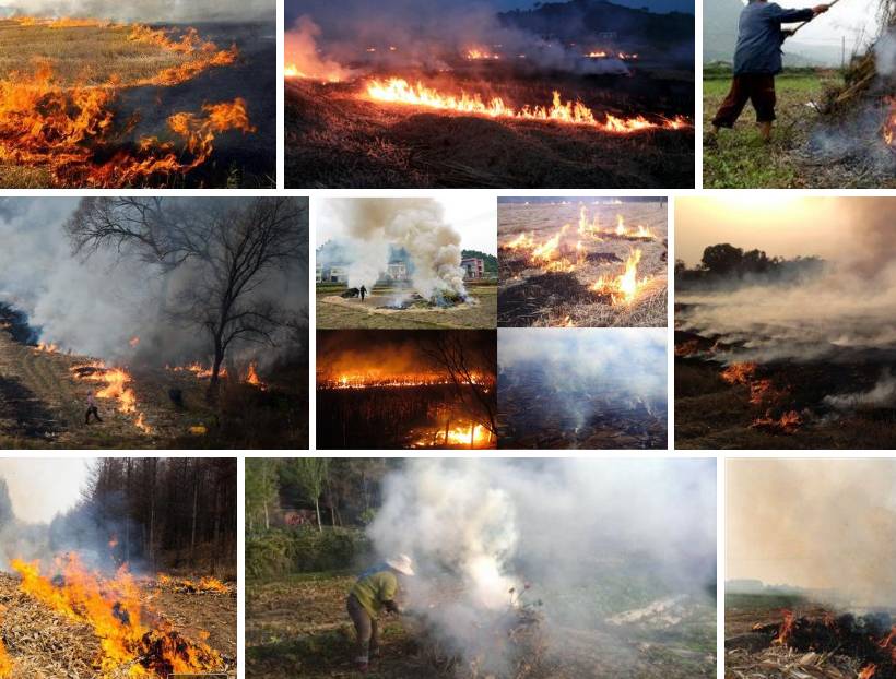 2019年十大畅销打捆机分析,2024年到2025年打捆机行情