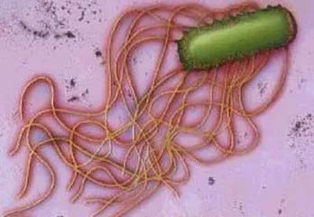 辣妈手记丨双十二囤奶粉?!擦亮眼睛!这种法国毒奶粉被召回了,快看买了没!