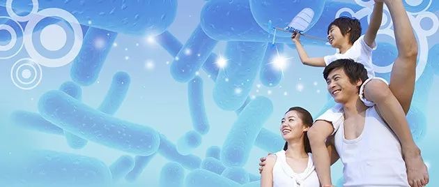 益生菌各个品牌与价钱,益生菌有贵有便宜的该买哪种