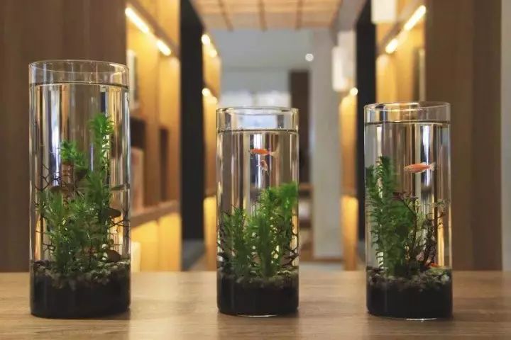 24小时、以旧换新……南京这8大特色书店,去了就不想离开